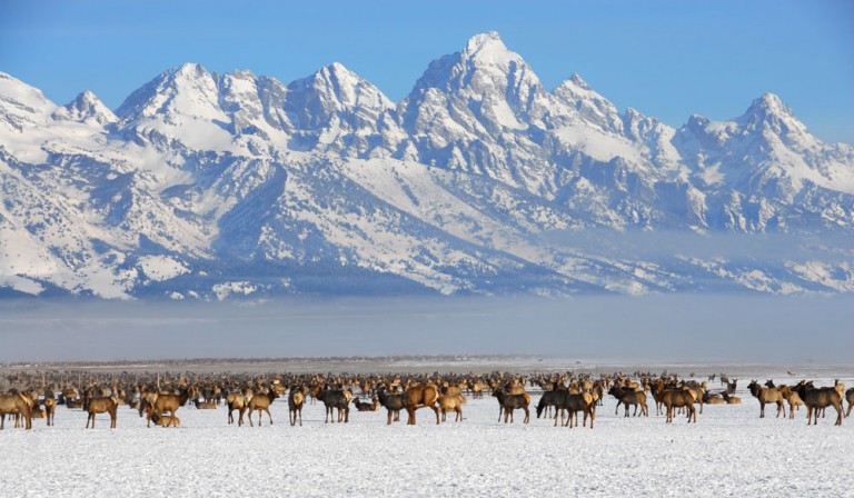 The Land of Winter Cowboys