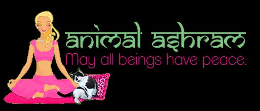 Animal Ashram’s Animal Supply Drive & Fundraiser