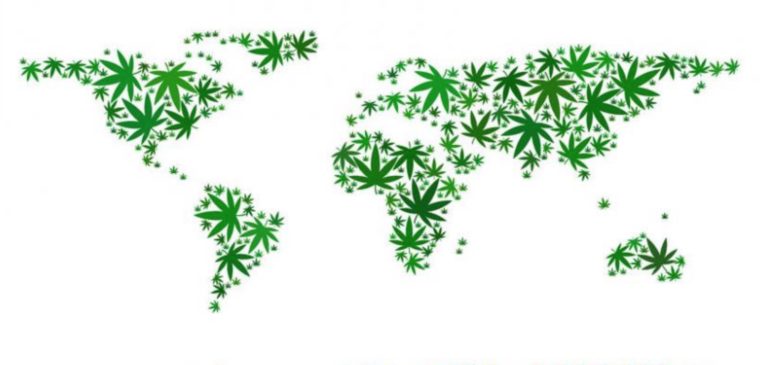 Trade War a Threat to U.S. Cannabis Companies?